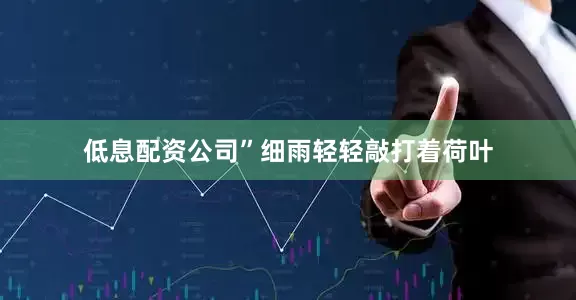 低息配资公司”细雨轻轻敲打着荷叶