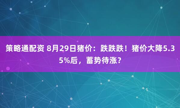 策略通配资 8月29日猪价：跌跌跌！猪价大降5.35%后，蓄势待涨？